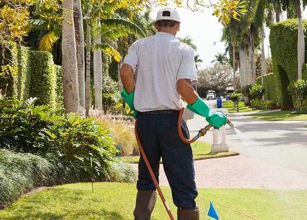 About Newport PA Pest Control
